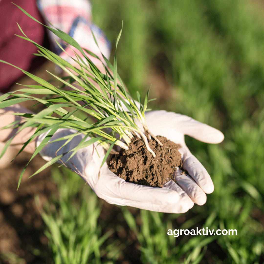 Топ 5 агротенденции в България през 2025, които трябва да знаете