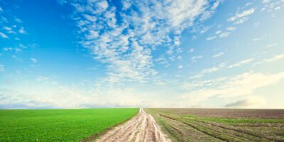 The pathway in the middle of the green field on the sunset